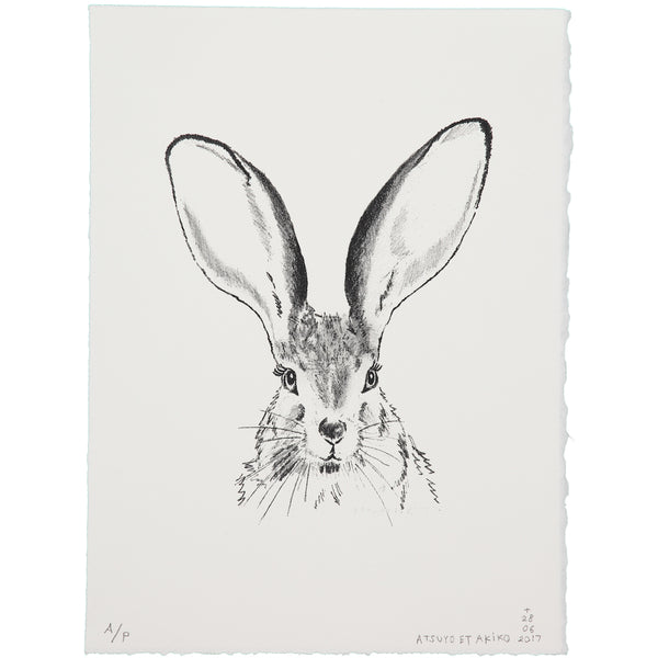 WALL ART - LAPiN