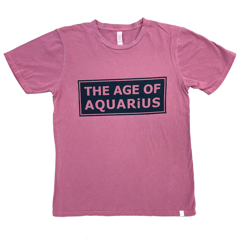 Unisex Pigment Dye Tee - The Age of Aquarius in Brick