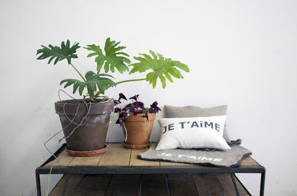 Je T'aime Blanket in Dark Gray