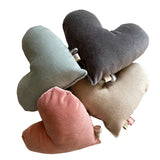 Le Petit Heart Velvet Pillow